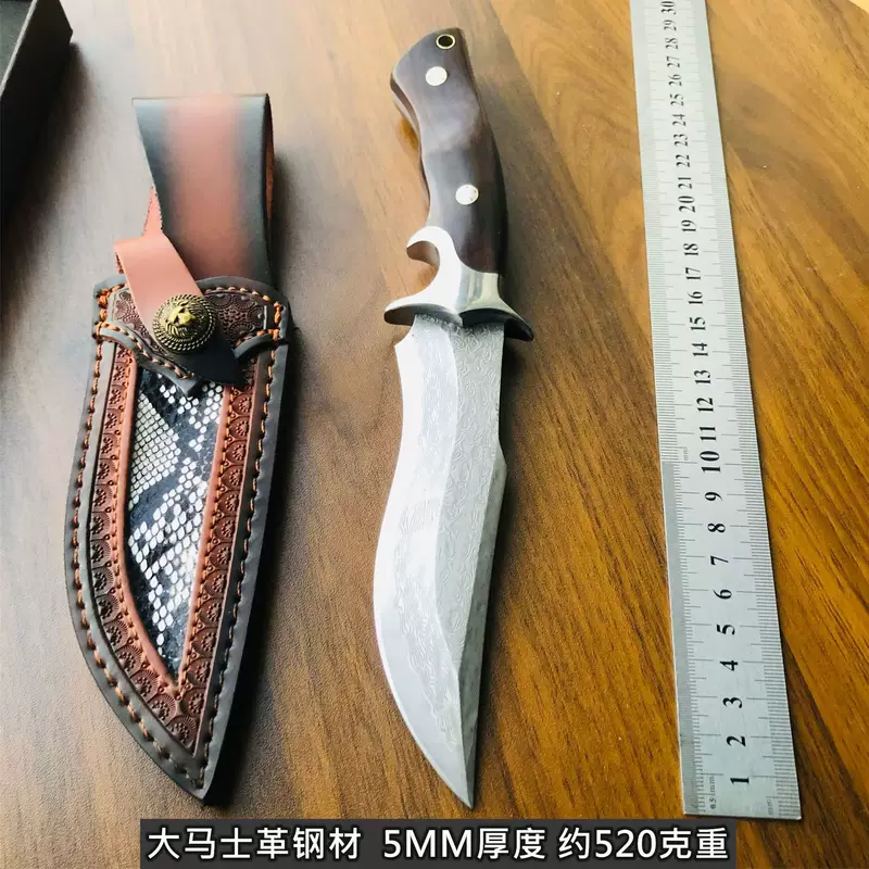 Blade, sharp durable travel knife, (Physicals)