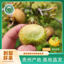 FݴrҰجFժFl3510br朰l؛l