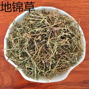 ���\�� �Ե��� �̲�ѪҊ�� Ѫ�L��䁵��\ ��ș��