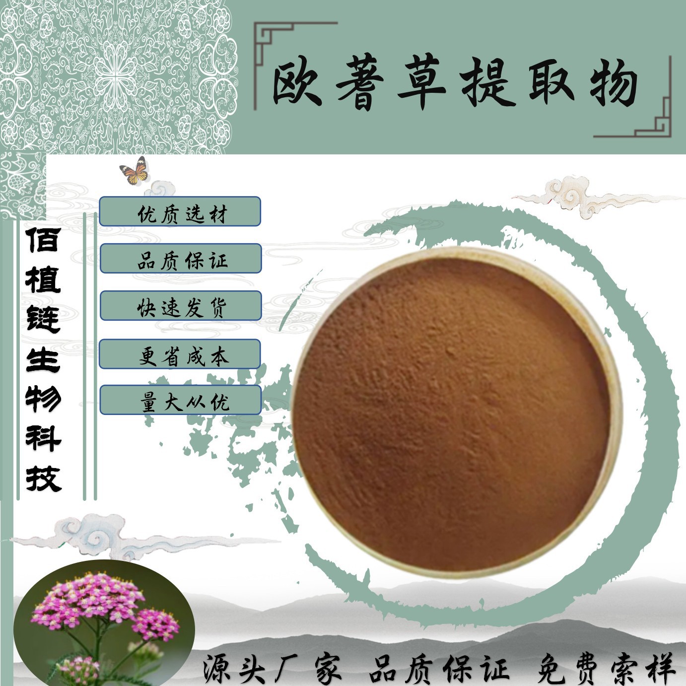 欧蓍草提取物10: 1 欧蓍草比例萃取  水溶性欧蓍草粉