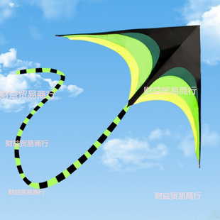 Outdoor new spring and autumn kites into large children breeze easy to fly net red original wholesale