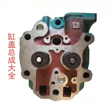 单缸柴油机 缸盖总成 S195 直喷1100 1105 1115常发缸盖 配件