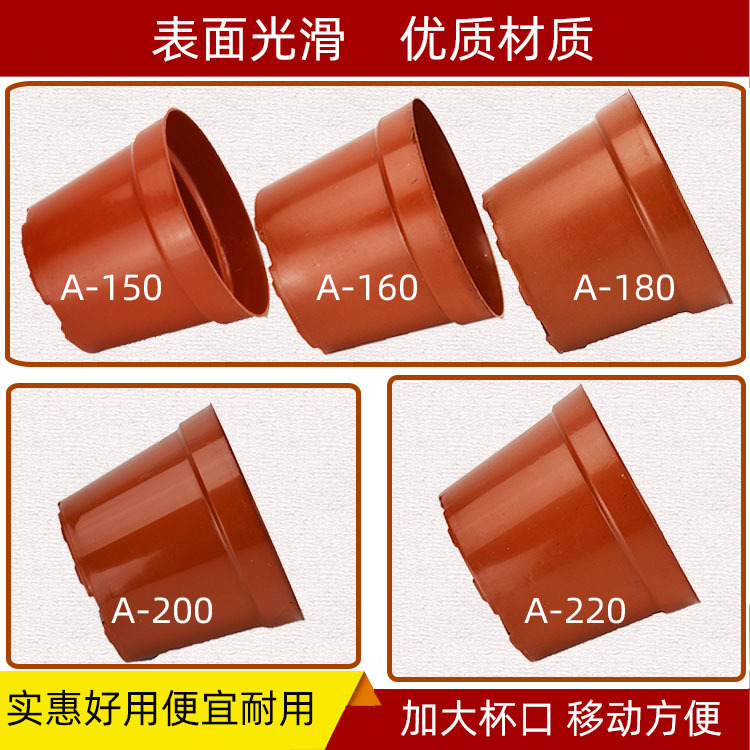 A������Ӫ����Բ�β��ܻ���ƽ��������ֲ��ֲ��ɫ[���۴���ֱ��]