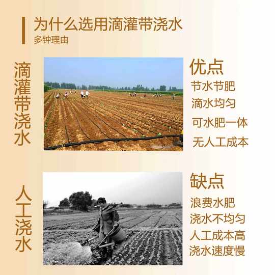 Drip Irrigation Tape Irrigation Tool 16mm Patch Type Agricultural Greenhouse Vegetable Sprinkler Water-Saving Irrigation Tool