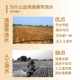Drip Irrigation Tape Irrigation Tool 16mm Patch Type Agricultural Greenhouse Vegetable Sprinkler Water-Saving Irrigation Tool