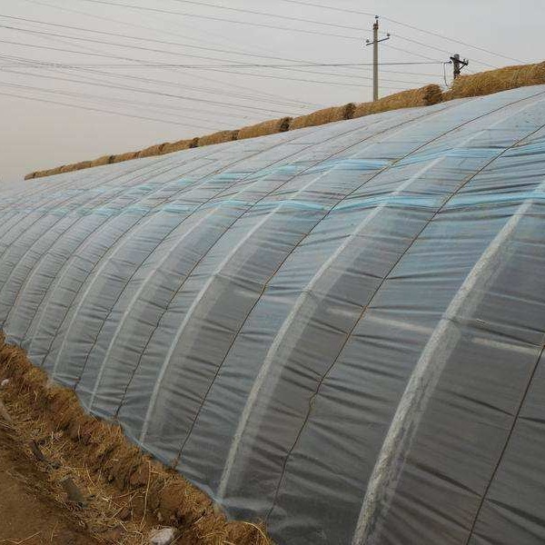 温室大棚热镀锌骨架农业蔬菜养殖暖棚建设温控钢架