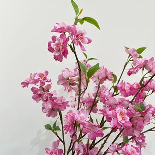 �������70cm��Ʒ�|�ѻ���ʽ��ʽ�L��U��廨�һ����Ļ���c�zӰ