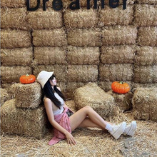 �ݶ�ɵ��ݶѲݶղݶ����ɳ�l����¶�I���c���øɲ�¶�I�Շ��b�