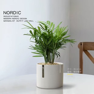 ���~�žG�}С��������Gֲ�lؔ���k����ֲ���҃���ꎻ��ܾGֲ����