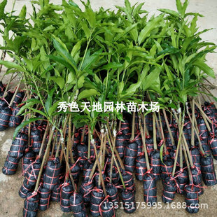 â������޽ӽ��â�t�F�����������â�ļ�â������ͥԺâ������