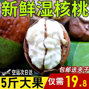 2025�����r�����ȥ��Ƥ�Ϙ䱡Ƥ�����r���������ЋD5����؛Сϫ