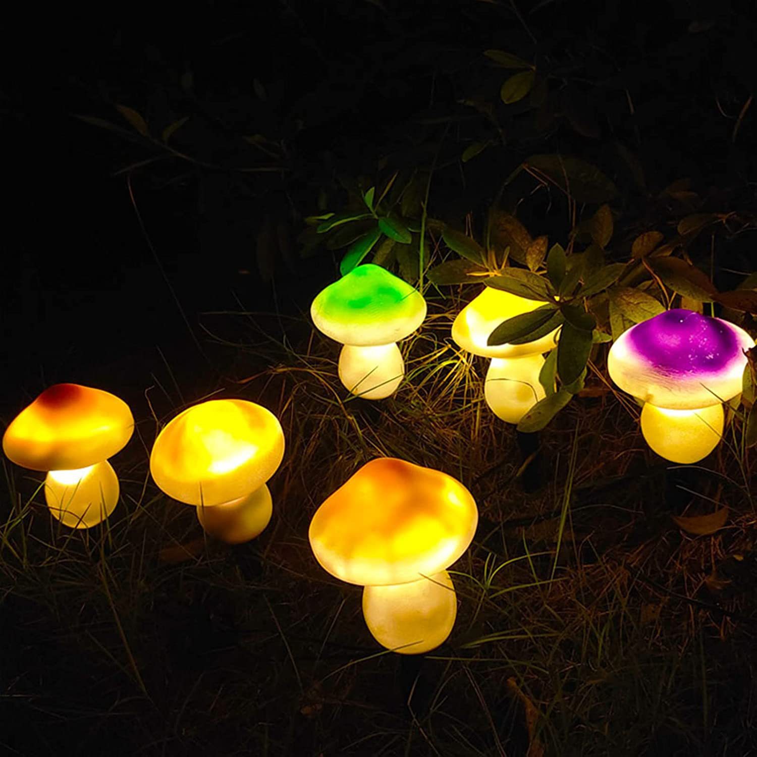 �¿�̫����Ģ���ز��һ���������ˮ��԰ͥԺ԰�ֲ�ƺװ�β�ص�