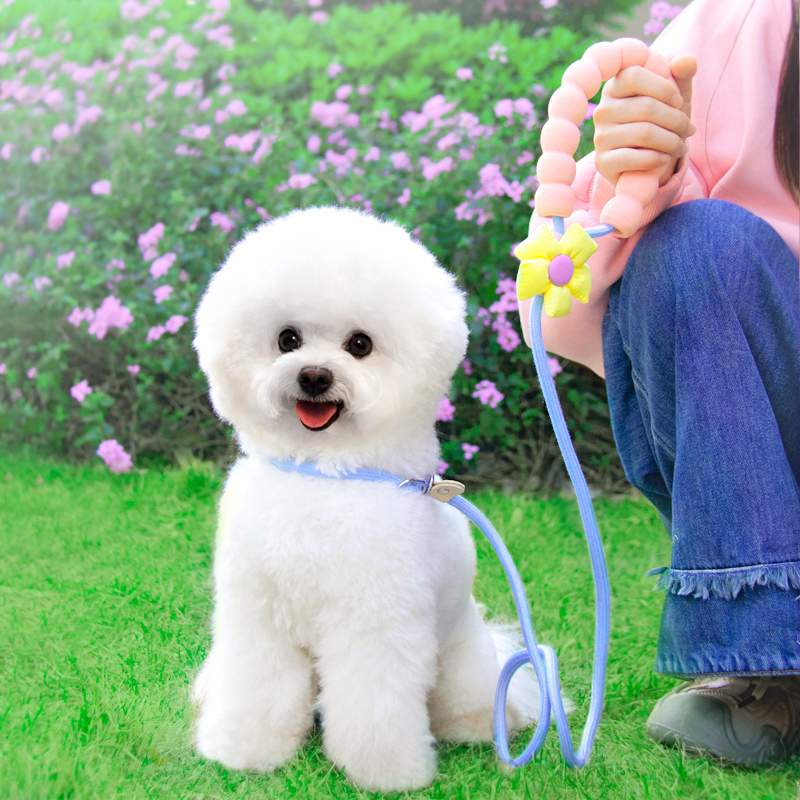 狗狗训犬P绳防爆冲P遛狗牵引绳防窒息防挣脱狗绳狗子中小型犬|undefined