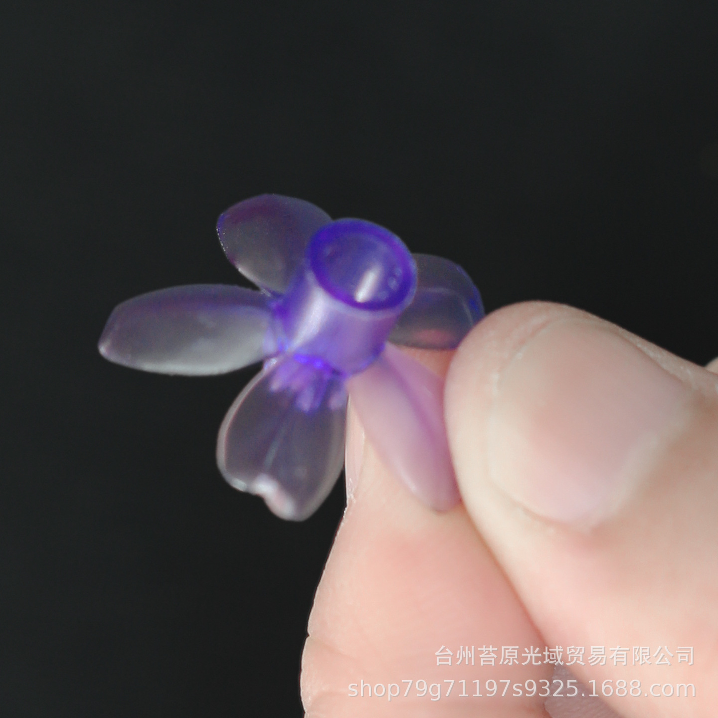 蓝色小樱花5.JPG.jpg