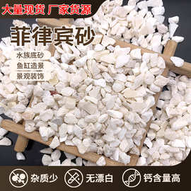 环保菲律宾沙水族寄居蟹底沙三湖慈鲷专用原生钙沙贝壳沙厂家直供