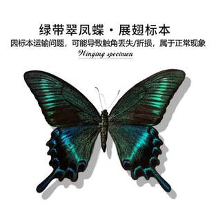 �Cе����DIY�������Lչʾ��Ů�����նY���������ֶY���ϰ�����