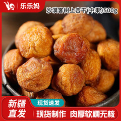 【新疆直発】砂漠客樹上杏乾500g(中果) レジャースナック果砂糖漬け甘酸っぱい