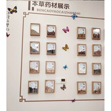 滋补店装饰药材挂图卡片图片中式形象药食同源标本悬挂标本