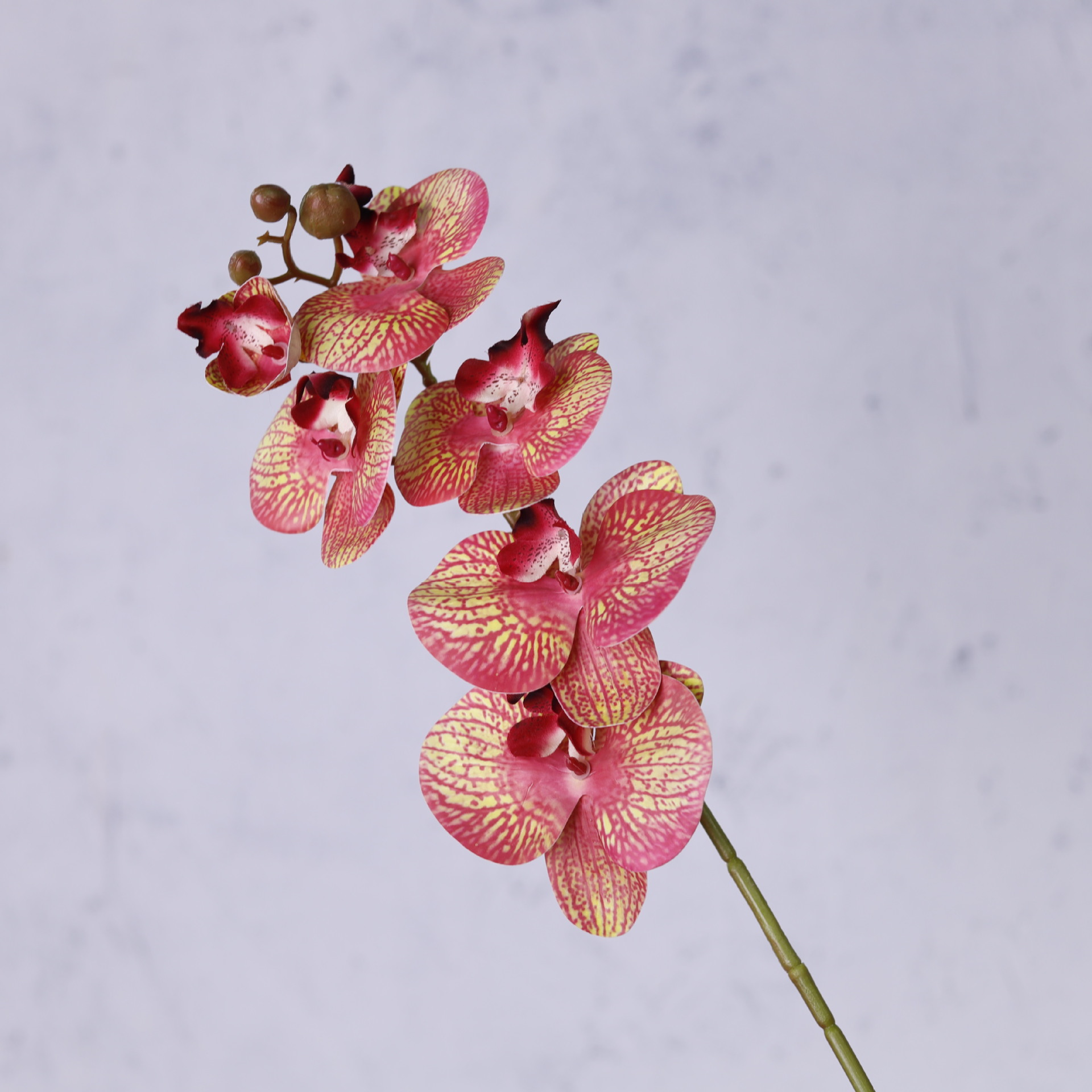 Impresión 3D de 7 cabezas de orquídeas mariposa flor de decoración de flores de alto nivel flor de nicho decoración floral decoración de sala de estar