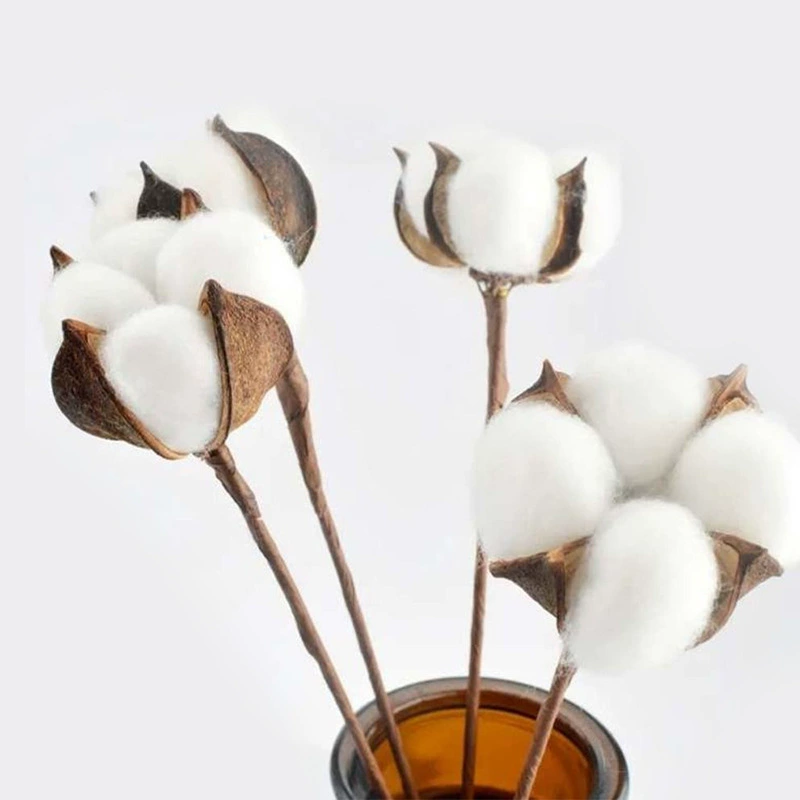 В наличии оптом | Один хлопок ручной работы сушеный цветок натуральный капок в стиле Мори украшение в позе Рождество с цветами