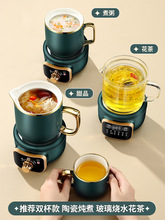 养生壶迷你多功能家用办公室小型全自动煮茶壶煮茶器养生杯烧水壶