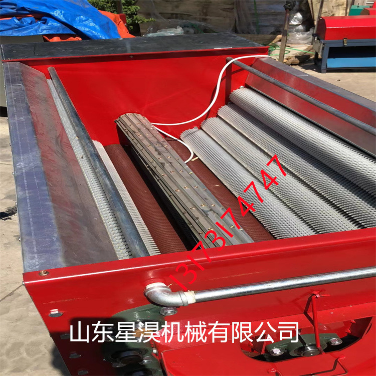 全自动核桃剥壳机 小型电动青核桃去皮机 核桃去皮清洗一体机