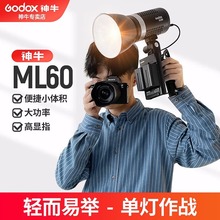 神牛ML60Bi/ML60IIBi摄影灯补光灯双色温LED外拍聚光灯手持便携