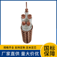 YTTW RTTZ 3x16+1x10 25 35 50 70 95 120~оԵV||