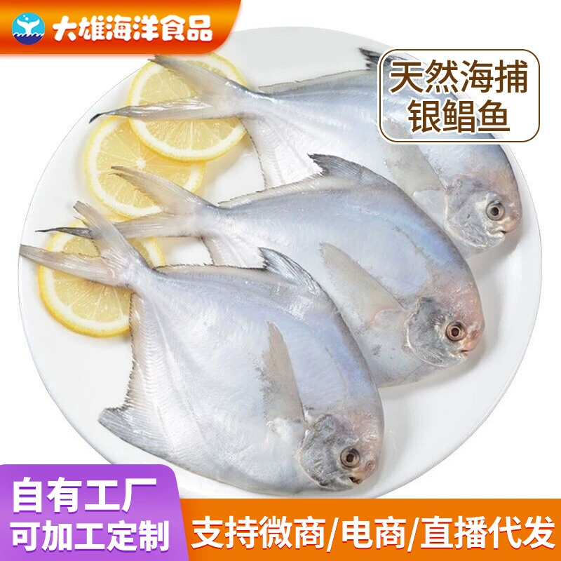 Море Ловля Маленький Помфрет Свежий Серебряный Помфрет Замороженные Морепродукты Джин Морская Рыба Водная Белая Рыба Очень Большая Морская Ловля Дикая