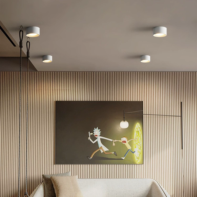 Mounted modern and minimalistic lights for corridor, ceiling light, LED lamp