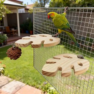 �W�^�}��վ̨ľ�|���~վ���B�\̤�������ɹ���ҧĥ����ˣ��Ʒ�F؛
