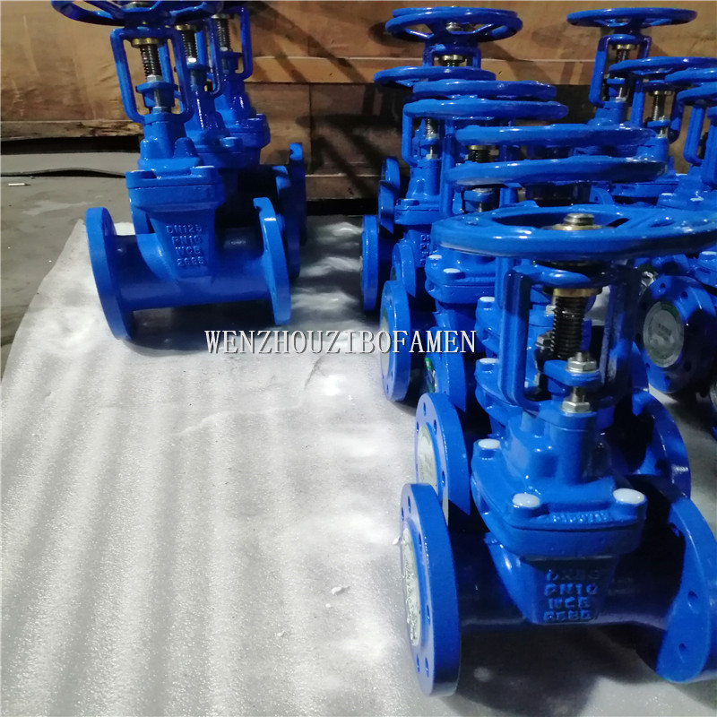 HHRX-25C Z41X-25C 明杆弹性座铸钢软密封闸阀 水泵房 消防闸阀