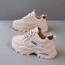 \ЬŮ2025＾ƤСЬСUٴeܲЬAK610