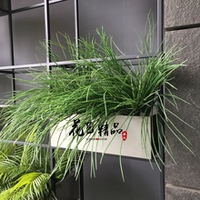 ����ر��� ���~ֲ�� �辰����ֲ� ֲ�����W ��������b�Ʒ