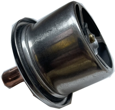 For excavator accessories Carter Thermostat