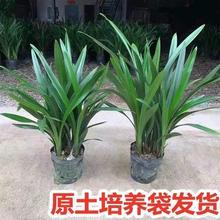 ī�m��ڴ��~�ؼ��m���҃Ⱥ��B�������Ժ��B�Gֲ���uͨ����վ�S