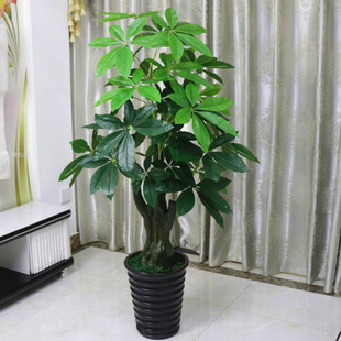 �٘�lؔ��ֲ��������Դ��Ϳ͏d�辰�ٻ����ϻ��b����l
