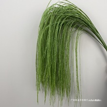 ��ˇ���ľGֲ���������J���ݲ廨��Y�G�~��픻�c�ٻ�������