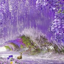 �������ٻ����ϼٻ��ٗl�҃Ȼ�c����b����_�m�l��ڵ��@������