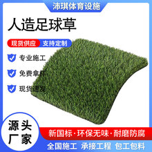 ƺ\ӈƺ羳Ƥ׃@ƺ̺زƺ