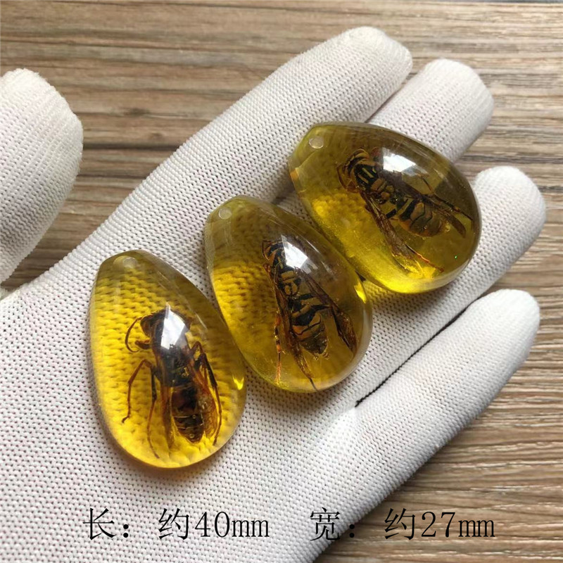 儿童挖掘考古昆虫标本 合成树脂琥珀昆虫 散装水滴盲盒标本现货|undefined