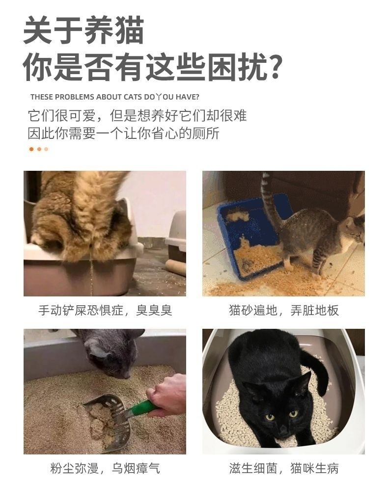 e8b6f87a-7269-4b83-8636-6cde07891b98.jpe