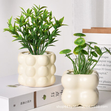 陶瓷花盆北欧简约四宫格奶油风蝴蝶兰多肉绿植盆栽盆景盆手工陶瓷