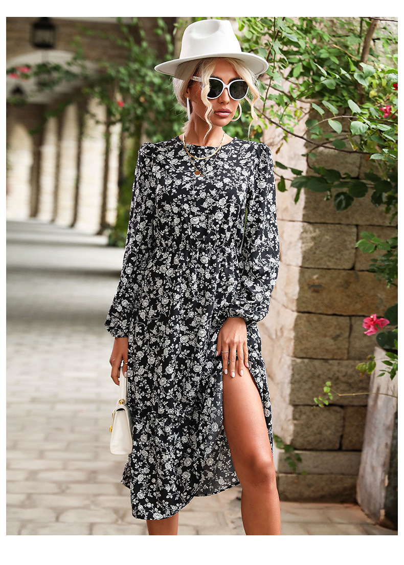 Round Neck Long-Sleeved Floral Dress Without Belt NSDMB113775