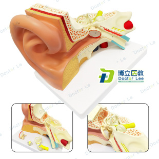 �Ŵ�3��������ģ�� ���w����ģ�� �ȶ� ��΁ ��Ҏ�� ��Ĥ �B�ǵ�