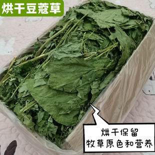 ��ɴ��~��ޢ�ݺ��}���t������؈���m�i�{���cθ������ĥ��