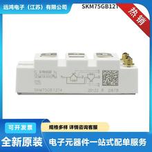 SKM300GAL128D SKM400GAL128D SKM50GAL12T4功率模块 IGBT单管