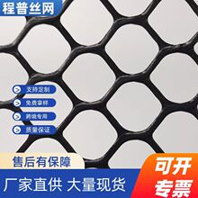 黑色加厚塑料平网鱼塘隔离过滤网格阳台安全防护防坠网规格定制