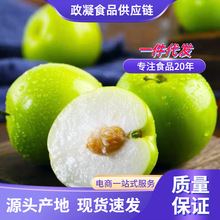 福建大青枣 代发1/9斤当季脆甜青枣新鲜蜜枣应季孕妇水果非贵妃枣