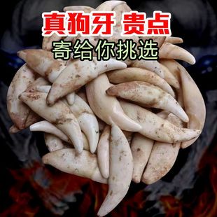 �湷�����l�������������朲������Ʒ�ڹ����X���^؛Դ�����y��